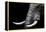 Elephant-Donvanstaden-Framed Stretched Canvas