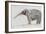 Elephant-Jung Sook Nam-Framed Giclee Print