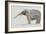 Elephant-Jung Sook Nam-Framed Giclee Print