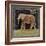 Elephant-Lisa Ven Vertloh-Framed Art Print