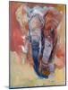 Elephant-Mark Adlington-Mounted Giclee Print