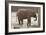 Elephant-Carol Highsmith-Framed Art Print