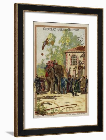 Elephant-null-Framed Giclee Print