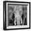 Elephant-Unknown Unknown-Framed Art Print