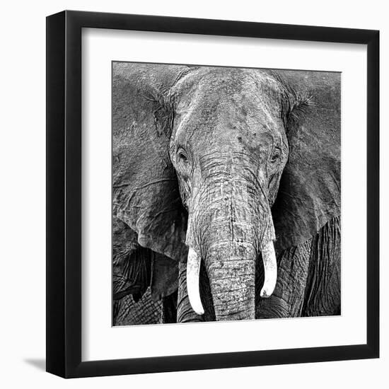 Elephant-Unknown Unknown-Framed Art Print