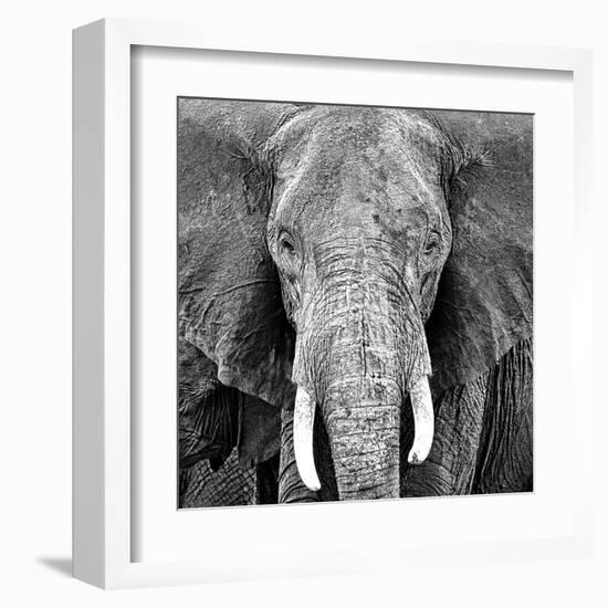 Elephant-Unknown Unknown-Framed Art Print