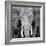 Elephant-Unknown Unknown-Framed Art Print