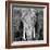 Elephant-Unknown Unknown-Framed Art Print