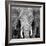 Elephant-Unknown Unknown-Framed Art Print