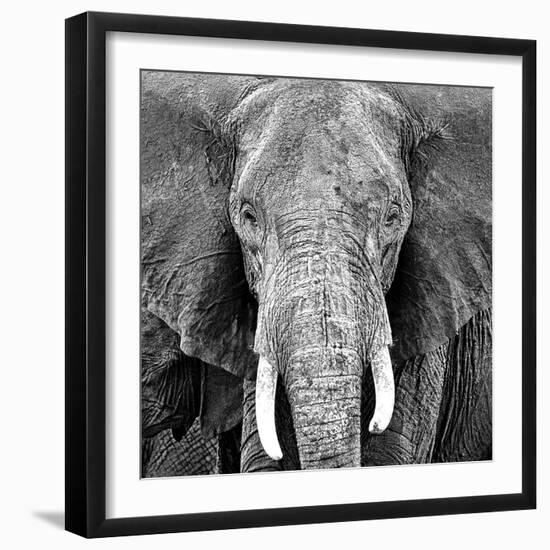 Elephant-Unknown Unknown-Framed Art Print