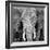 Elephant-Unknown Unknown-Framed Art Print