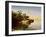 Elephantine-English Photographer-Framed Giclee Print