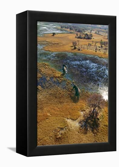 Elephants Aerial View, Crossing Flooded Plain-null-Framed Premier Image Canvas