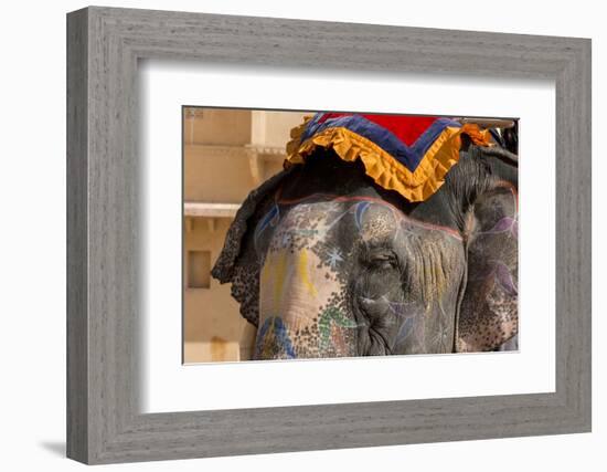 Elephants. Amber Fort. Jaipur. Rajasthan. India-Tom Norring-Framed Photographic Print