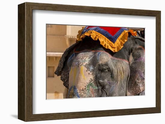 Elephants. Amber Fort. Jaipur. Rajasthan. India-Tom Norring-Framed Photographic Print