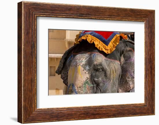 Elephants. Amber Fort. Jaipur. Rajasthan. India-Tom Norring-Framed Photographic Print