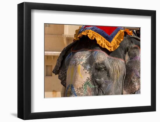 Elephants. Amber Fort. Jaipur. Rajasthan. India-Tom Norring-Framed Photographic Print