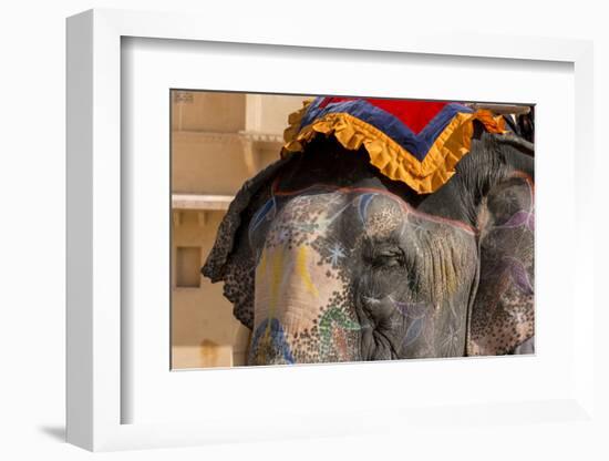 Elephants. Amber Fort. Jaipur. Rajasthan. India-Tom Norring-Framed Photographic Print