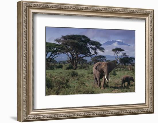 Elephants and Mountain-DLILLC-Framed Photographic Print