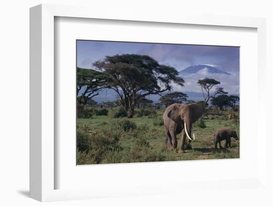 Elephants and Mountain-DLILLC-Framed Photographic Print