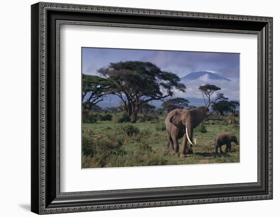 Elephants and Mountain-DLILLC-Framed Photographic Print