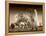 Elephants at watering hole. Camelthorn Lodge. Hwange National Park. Zimbabwe.-Tom Norring-Framed Premier Image Canvas