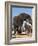 Elephants at watering hole. Camelthorn Lodge. Hwange National Park. Zimbabwe.-Tom Norring-Framed Photographic Print