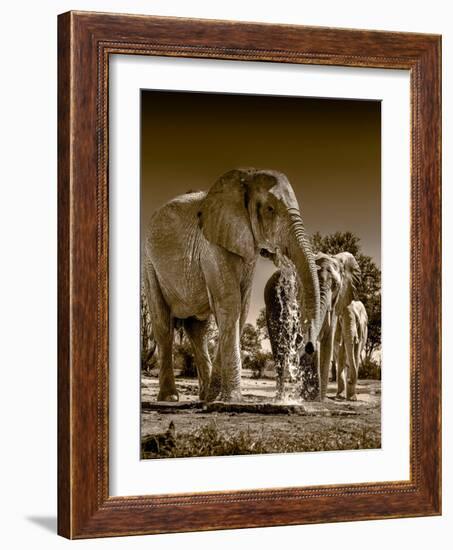 Elephants at watering hole. Camelthorn Lodge. Hwange National Park. Zimbabwe.-Tom Norring-Framed Photographic Print