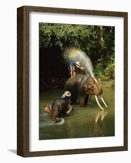 Elephants Being Washed in the River Near Chiang Mai, the North, Thailand-Gavin Hellier-Framed Photographic Print