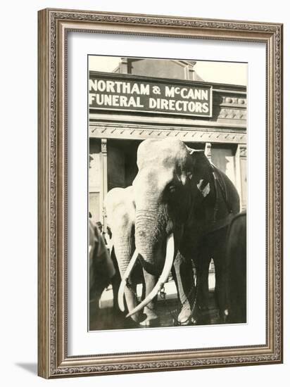 Elephants by Funeral Parlor-null-Framed Art Print