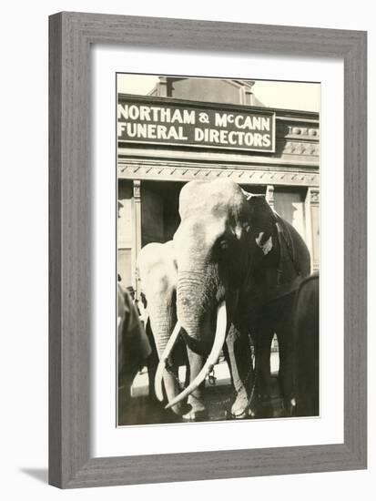 Elephants by Funeral Parlor-null-Framed Art Print