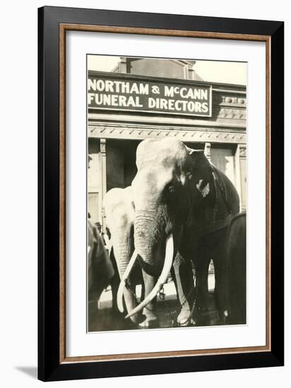 Elephants by Funeral Parlor-null-Framed Art Print