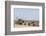 Elephants, Chobe National Park, Botswana-Sergio Pitamitz-Framed Photographic Print