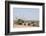 Elephants, Chobe National Park, Botswana-Sergio Pitamitz-Framed Photographic Print