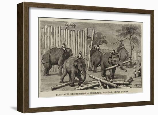 Elephants Demolishing a Stockade, Wontho, Upper Burma-Harry Hamilton Johnston-Framed Giclee Print