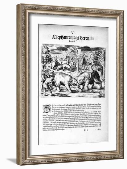 Elephants Fighting, 1606-Theodore de Bry-Framed Giclee Print