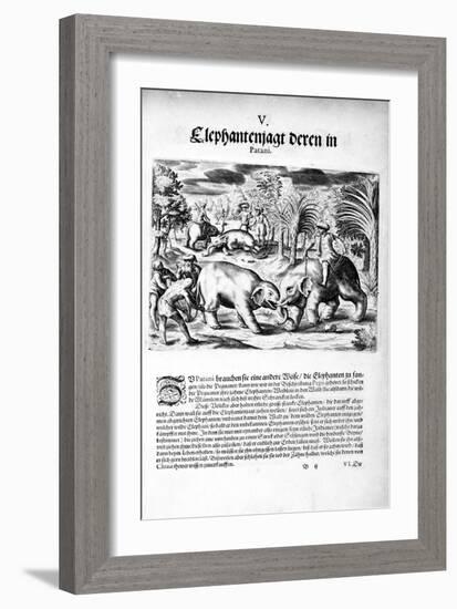 Elephants Fighting, 1606-Theodore de Bry-Framed Giclee Print