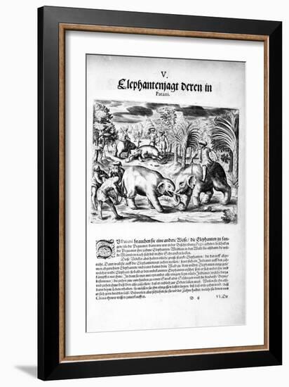 Elephants Fighting, 1606-Theodore de Bry-Framed Giclee Print