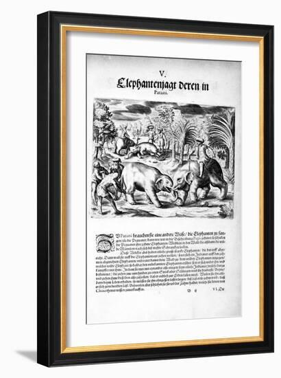 Elephants Fighting, 1606-Theodore de Bry-Framed Giclee Print