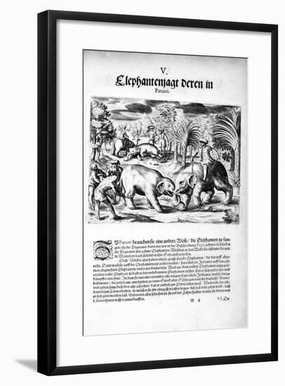 Elephants Fighting, 1606-Theodore de Bry-Framed Giclee Print