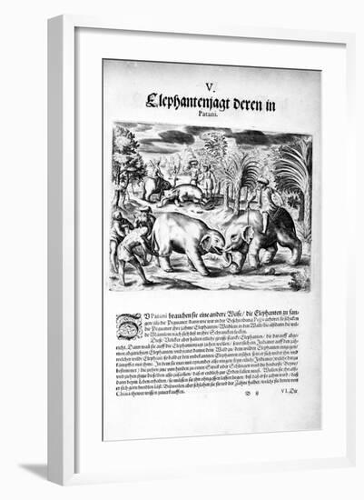 Elephants Fighting, 1606-Theodore de Bry-Framed Giclee Print