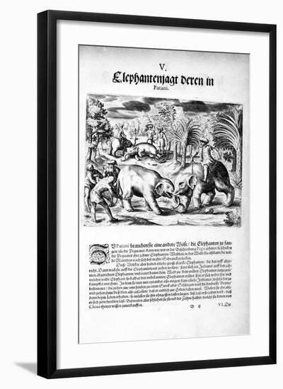 Elephants Fighting, 1606-Theodore de Bry-Framed Giclee Print