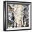 Elephants Gaze-James Grey-Framed Art Print