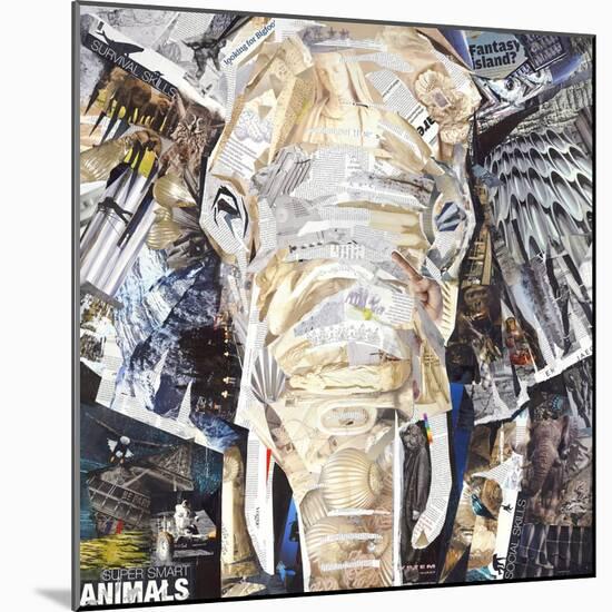Elephants Gaze-James Grey-Mounted Art Print