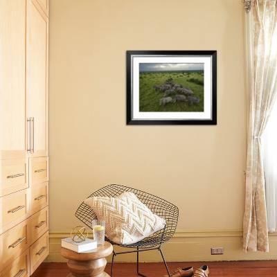 Elephants Have Miles Of Savanna To Roam Inside Queen Elizabeth Park Photographic Print By Joel Sartore Art Com