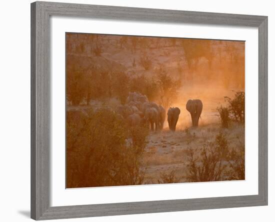 Elephants, Hwange National Park, Zimbabwe, Africa-null-Framed Photographic Print