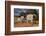 Elephants leaving watering hole. Camelthorn Lodge. Hwange National Park. Zimbabwe.-Tom Norring-Framed Photographic Print