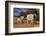 Elephants leaving watering hole. Camelthorn Lodge. Hwange National Park. Zimbabwe.-Tom Norring-Framed Photographic Print