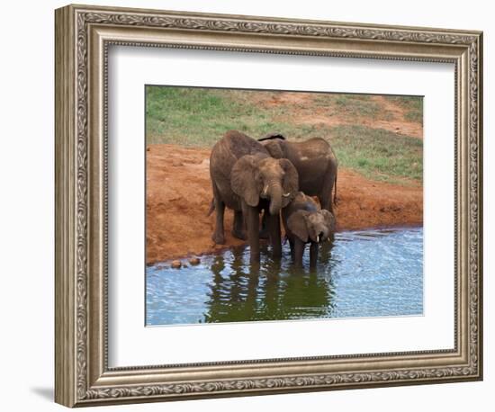 Elephants (Loxodonta Africana) at Water Hole, Tsavo East National Park, Kenya, East Africa, Africa-Sergio Pitamitz-Framed Photographic Print