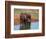 Elephants (Loxodonta Africana) at Water Hole, Tsavo East National Park, Kenya, East Africa, Africa-Sergio Pitamitz-Framed Photographic Print